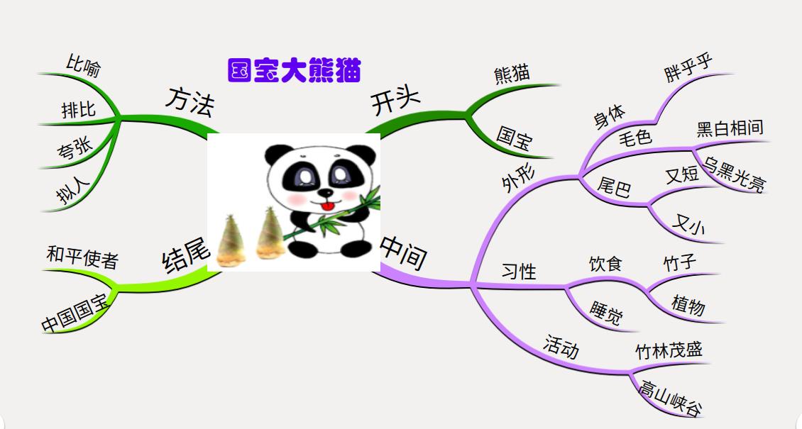 国宝大熊猫习作300个字三年级下,画国宝熊猫文章三年级400个字