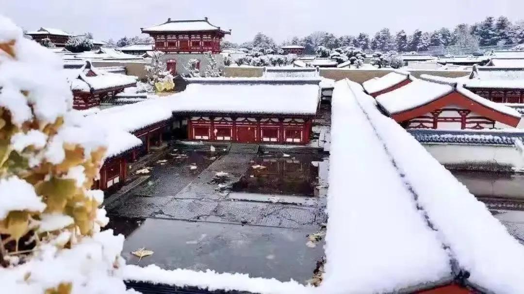 冬天合适旅游的国内看雪景点,冬天看雪最值得去的地方