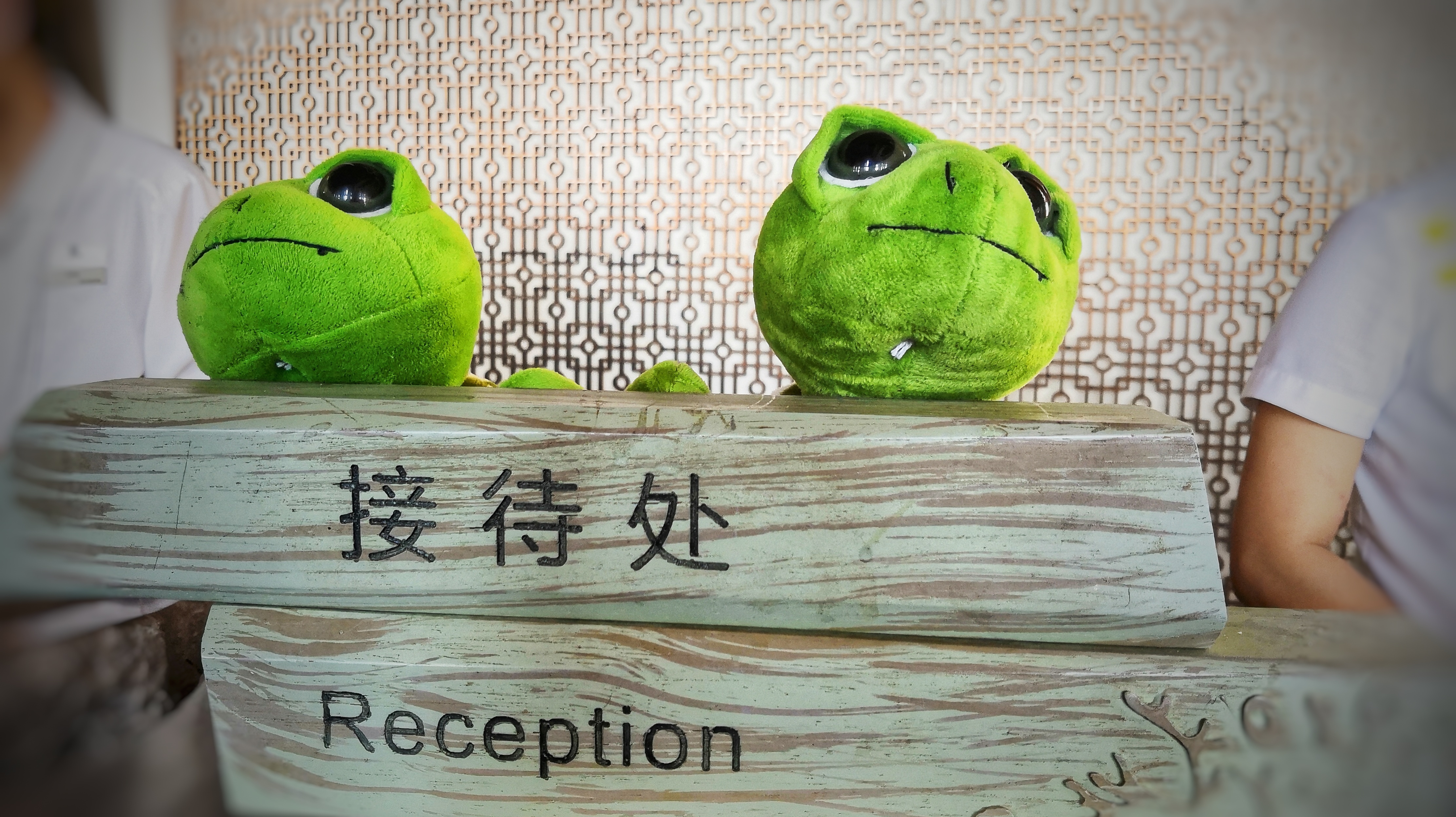 都是网红惹的祸,都是网红惹的祸完全版