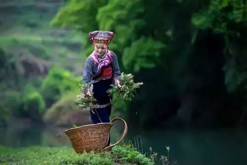 民族大学和别的大学有什么区别,民族大学与普通大学有什么区别