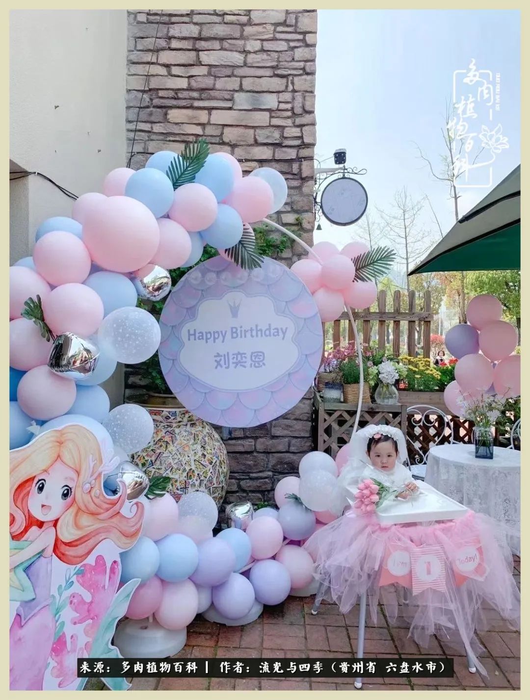 国庆假期你快乐吗？来，凉都美肉与你相伴一一小乌木的霸气东云