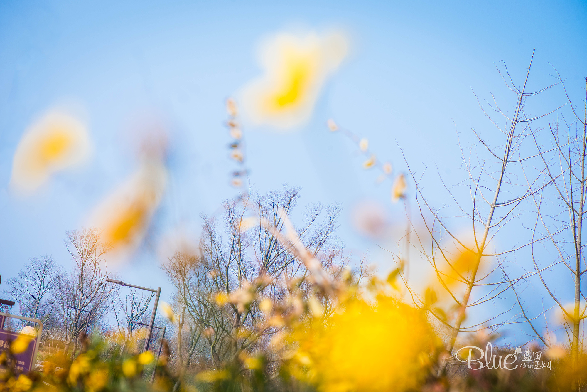 中国最美的大乘佛寺,最有灵性的古佛寺