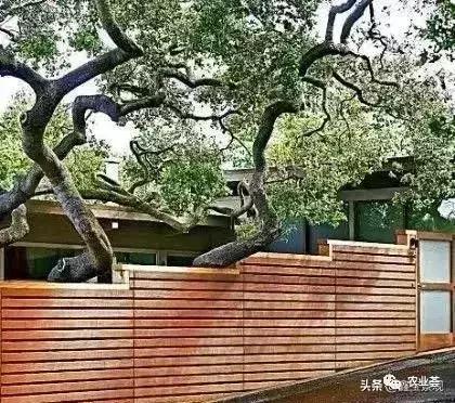 风水庭院景观设计,私家庭院景观风水设计