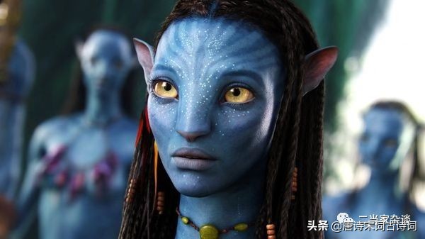 牧马人电影抖音最火视频,电影牧马人抖音