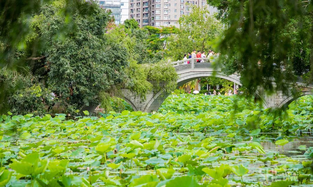 罗湖发达吗,罗湖区的实力到底有多强