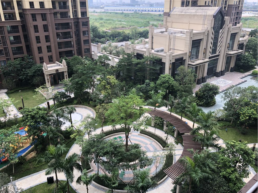 石湾龙湾天悦2房1厅出租,石湾奥晨龙湾天悦复式