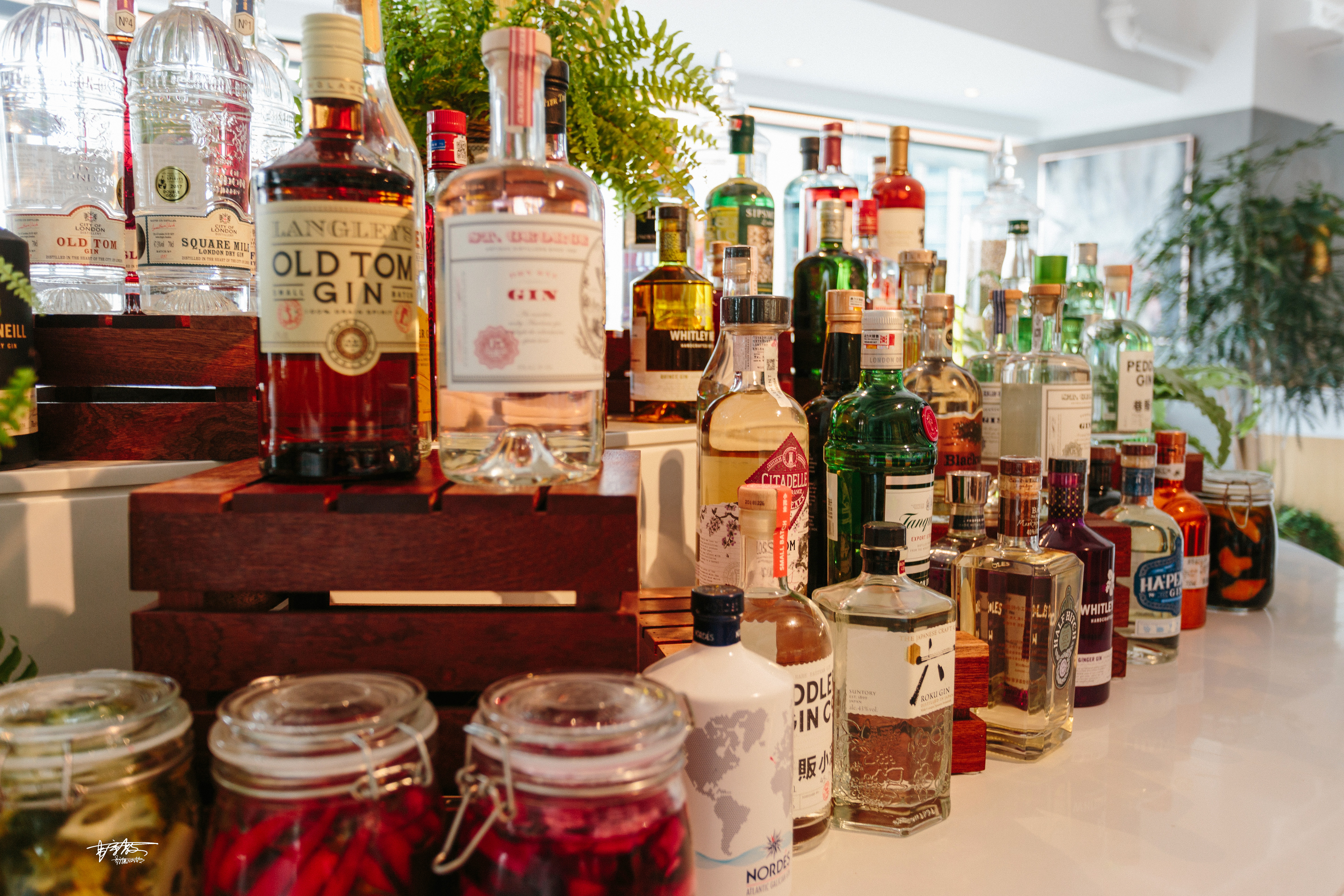 有一种美食叫相见恨晚，西单藏着一家闹中取静的美味西餐厅