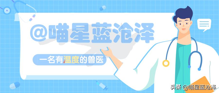 辟谣猫咪蒜瓣毛,猫咪喝纯牛奶辟谣