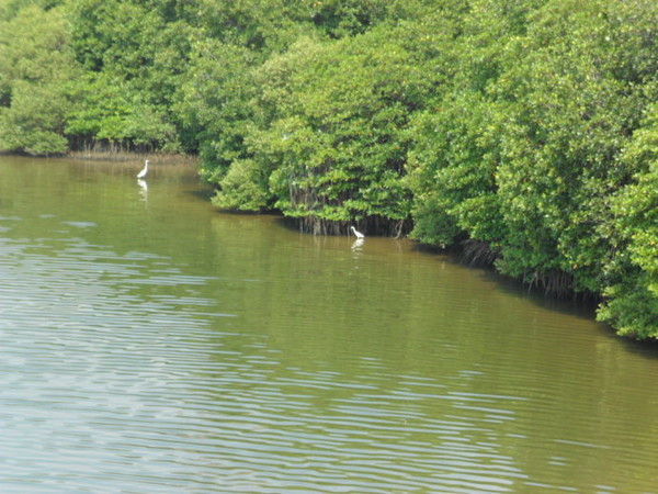 冬季三亚旅游攻略 (七月份去三亚旅行攻略路线推荐)