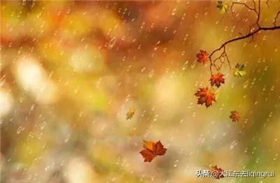 秋雨诗词伤感,秋雨诗词全集