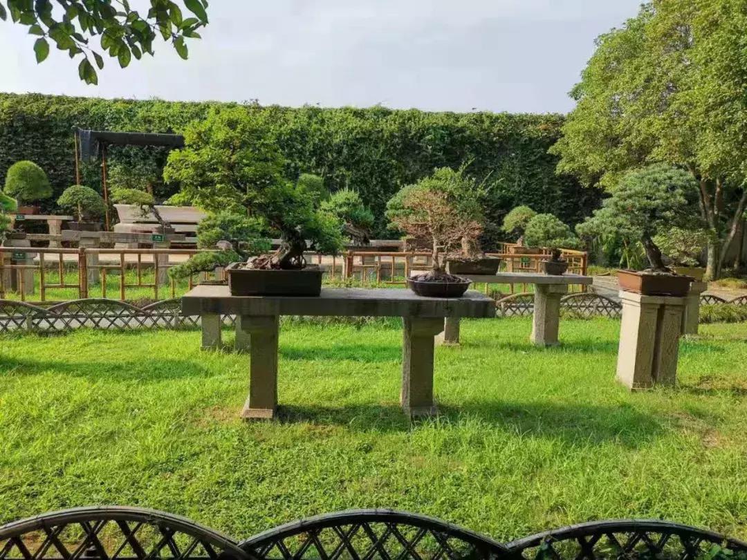 发小份子钱应该随大流吗,发小结婚份子钱是转账还是当面给