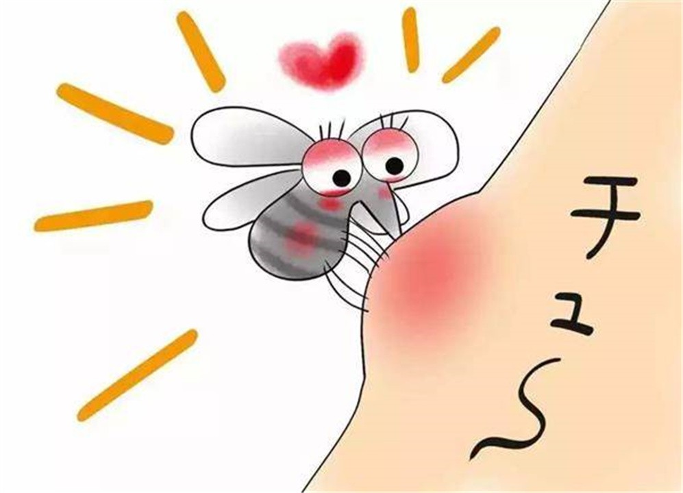 痒是什么原因引起,痒是为啥
