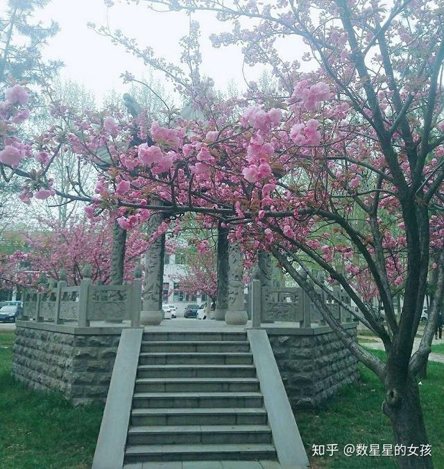 我看到真实的曲阜师范大学――有灯光的地方就有人学习