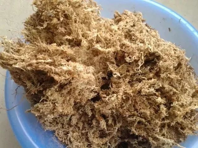 配制盆栽花土用什么土,在花盆里种植物怎么种