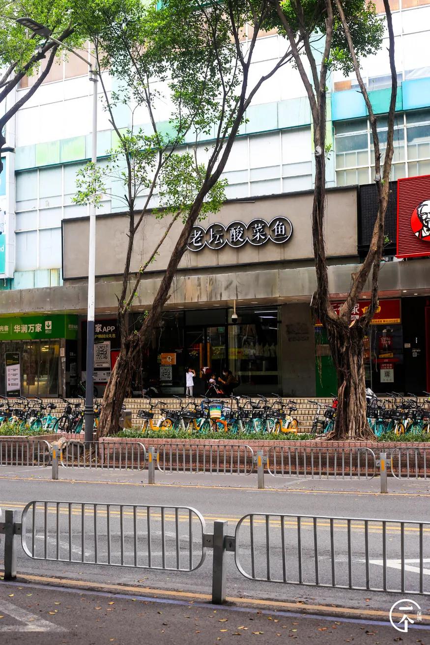 为啥珠光村房租便宜,深圳西丽珠光村房租如何