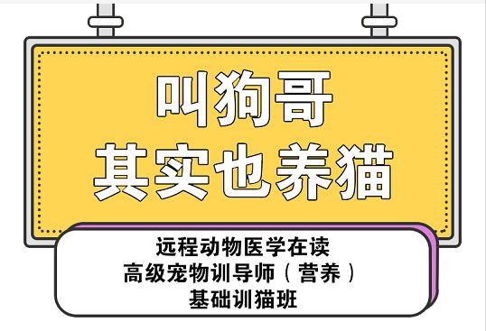 伯纳天纯猫粮是真的吗,伯纳天纯猫粮怎么区分真假