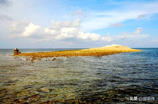 本内苏铁灭绝于白垩纪时期，南沙群岛琼台礁发现一株，纯属误传