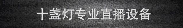 十盏灯g4声卡直播销售,十盏灯g4声卡电音怎么调