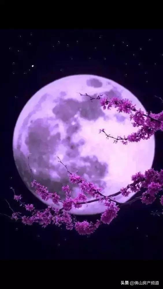 花好月圆中秋快乐视频,花好月圆中秋快乐毛笔字