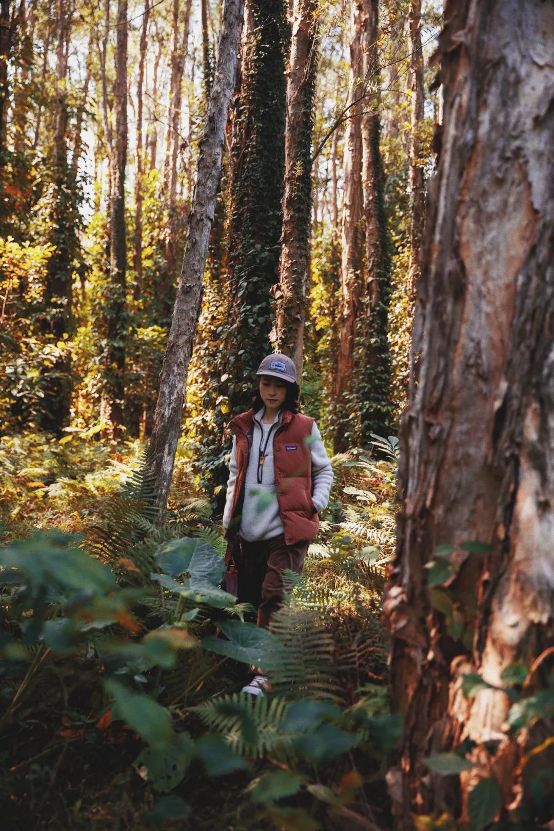 我最爱的红色冲锋衣,红色冲锋衣怎么搭配都丑