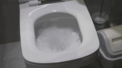 马桶的水怎样排干净,马桶堵了怎么快速冲下去