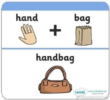 cat是什么词,cat是猫的意思吗