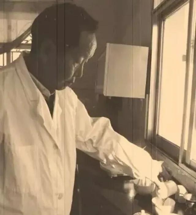 云南老同志邹炳良普洱茶价格查询,2006老同志邹炳良熟普洱茶价格表