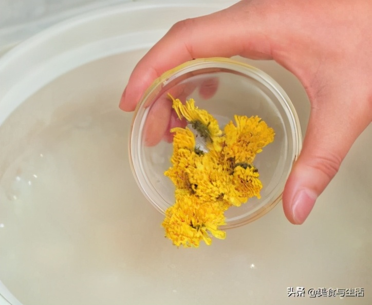 菊花雪梨茶生津润燥,菊花雪梨茶用什么菊花