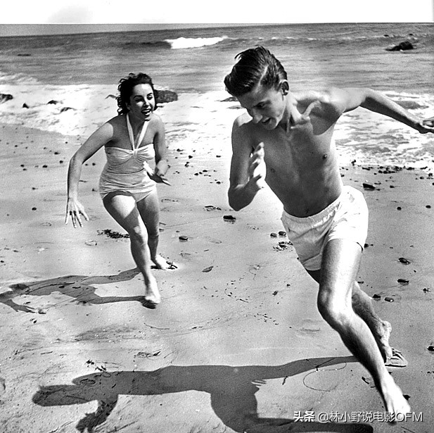 日照下的罪恶和尼罗河惨案演员,日照下的罪恶人物