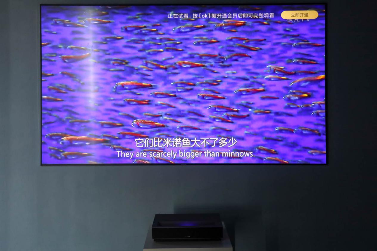 “客厅新贵”夺94%好评，万达IMAX搬回家，中年男人：有面