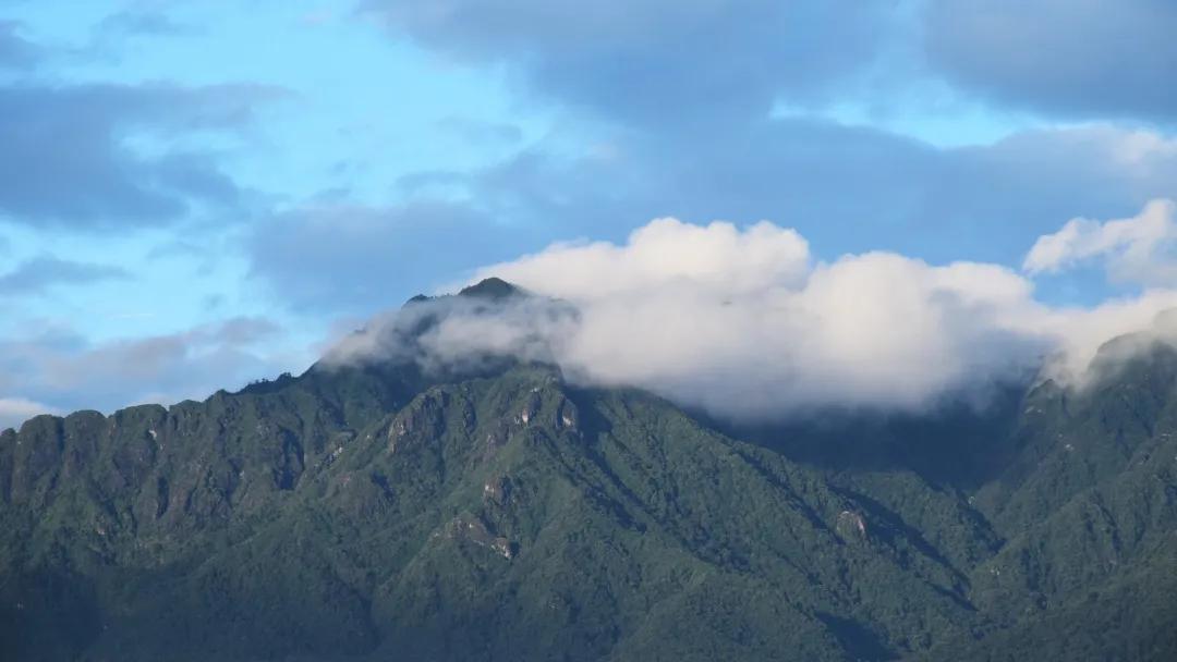 云南避暑避寒最佳地方,云南最合适避暑的旅游城市
