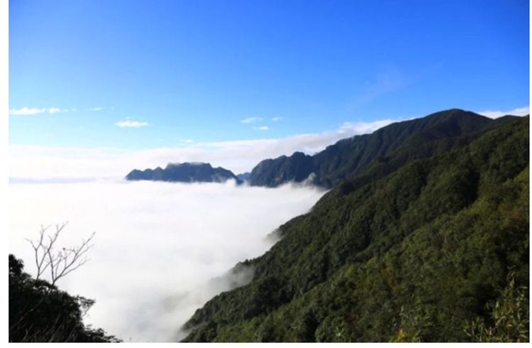 养在深闺人未识,桂林华南之巅猫儿山