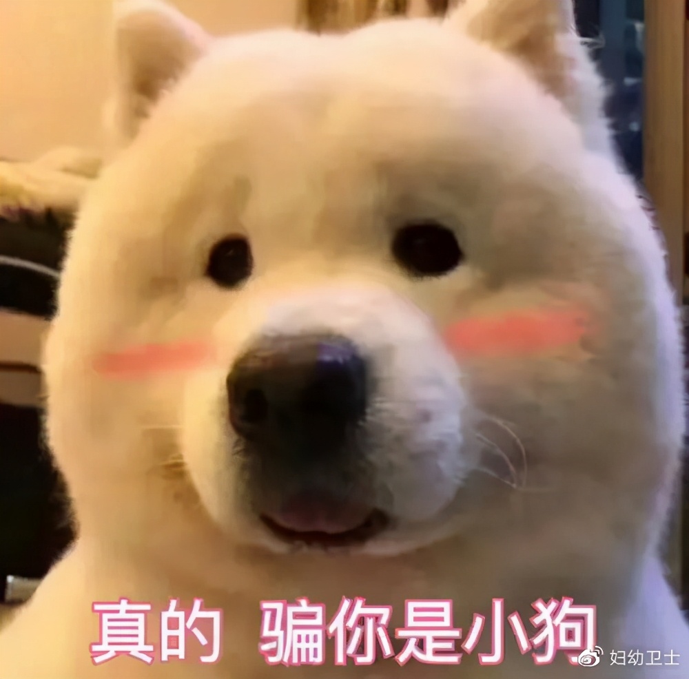 支原体感染治疗期间怀孕了怎么办,支原体感染在备孕中一定要治好吗