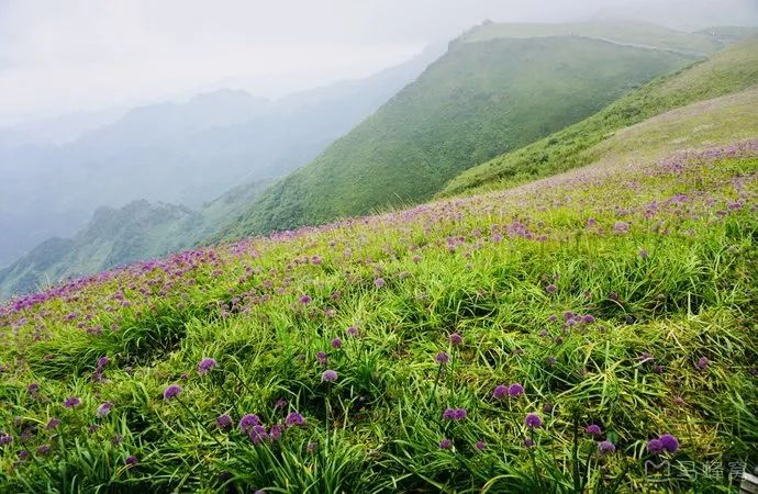 贵州每个村都有篮球场,赫章县灯光篮球场