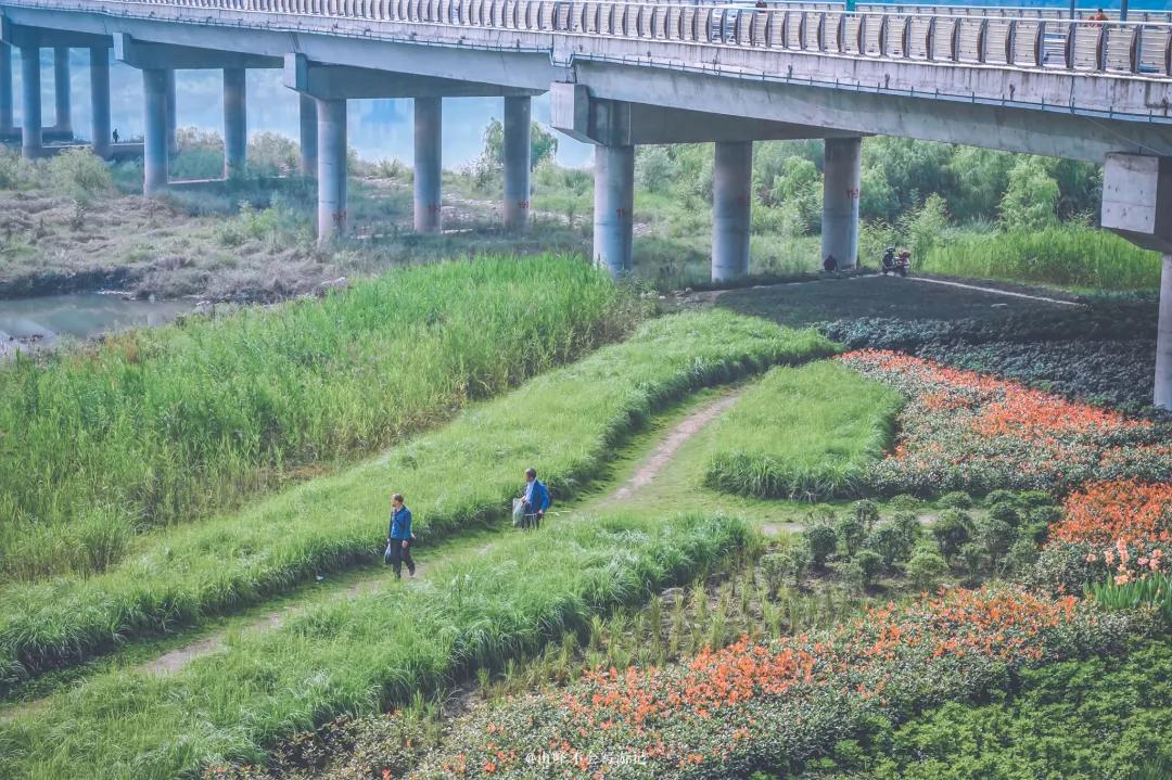 李子柒家乡成旅游景点,李子柒乡愁