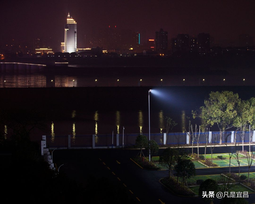 战疫情202002022020现时共存