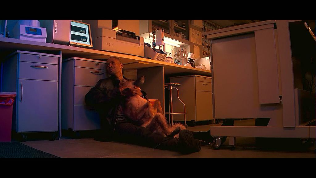 末世废土题材游戏,盘点人气超高的末日废土题材游戏