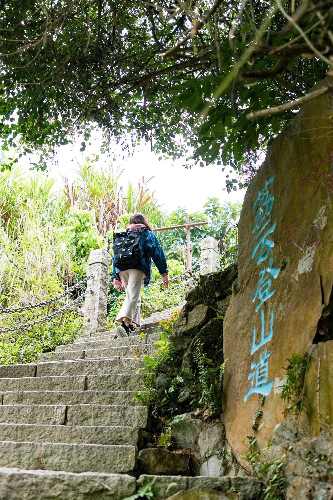 放假在深圳能去哪里玩,放假了能够去深圳的哪些地方玩