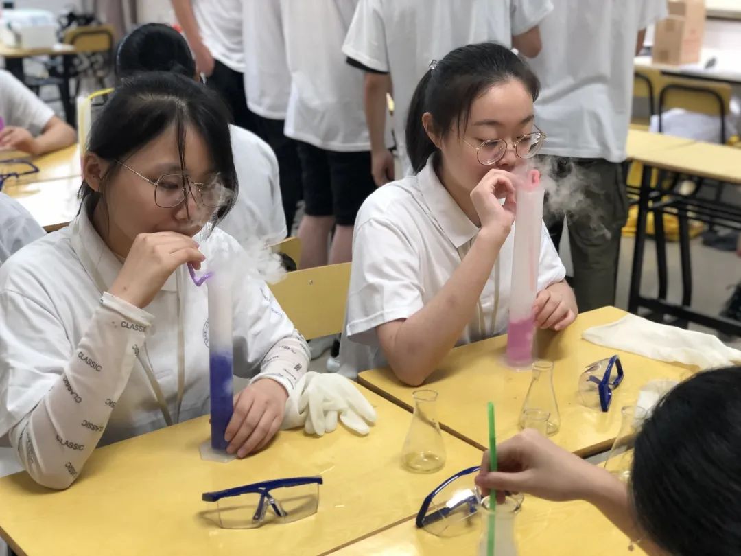 合肥一中美国蒙特威高中学费,合肥一中美国蒙特威入学要求