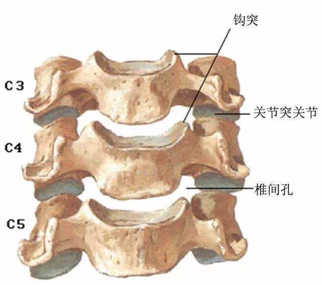 经常扭脖子扭得咔咔响的会怎么样,小孩脖子一动就咔咔响是什么原因