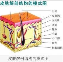 你还不知道什么是*干粉冻**吗？