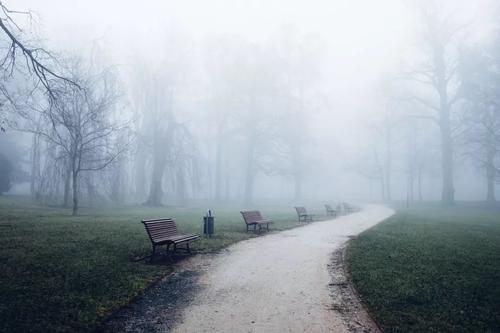 东野圭吾十一字谜案分析,东野圭吾十一字谜案大概内容