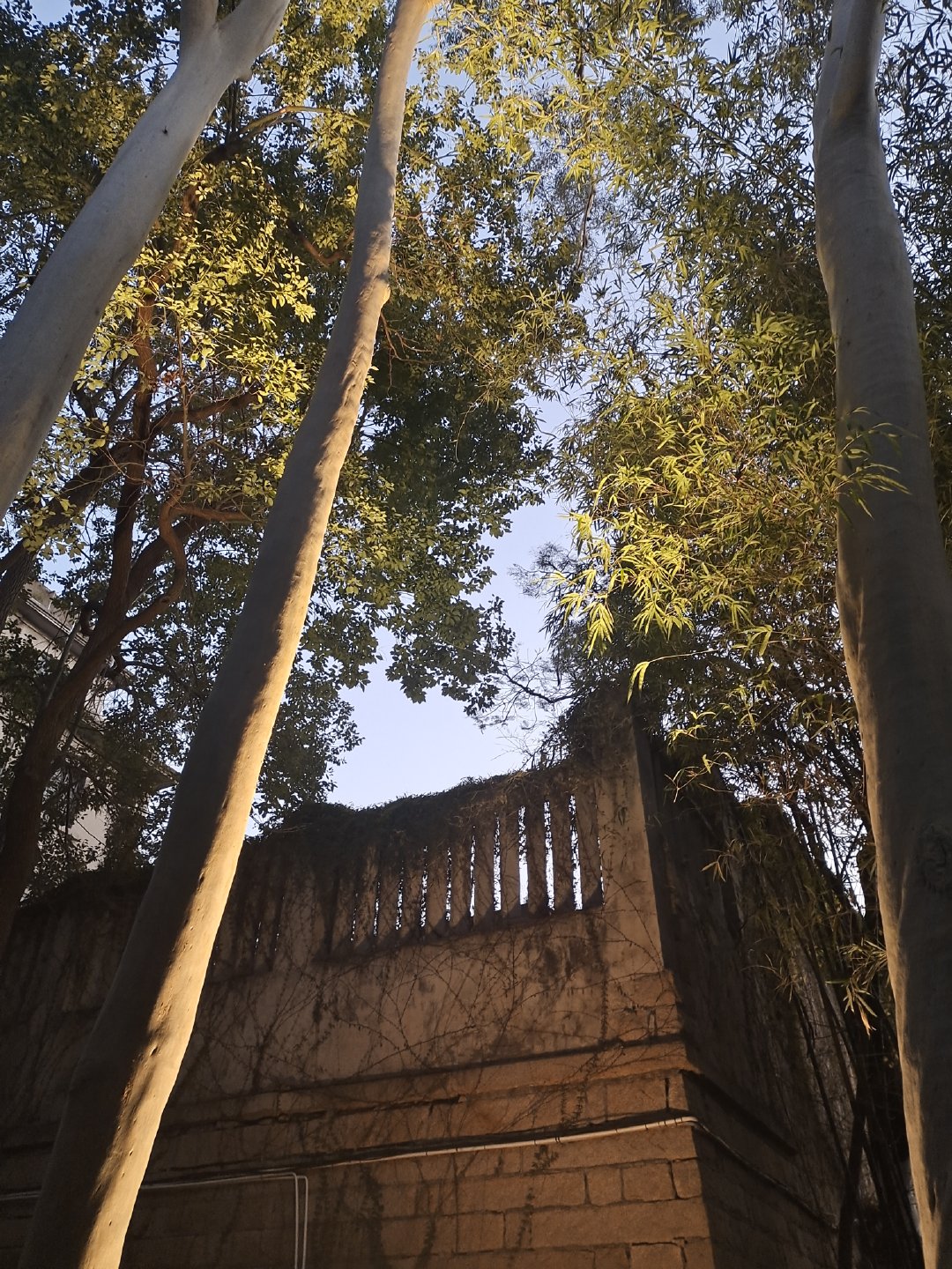 厦门不仅有美丽的风景还有好吃的,厦门旅游美食美景照片