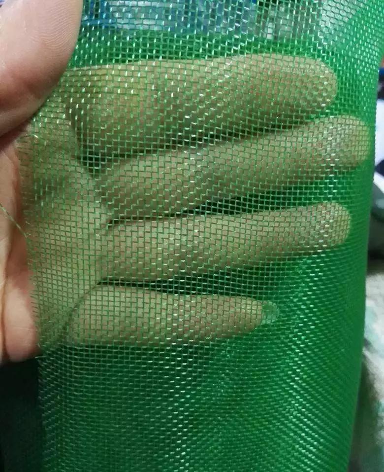 防虫网的功能有哪些,防虫网有什么好处