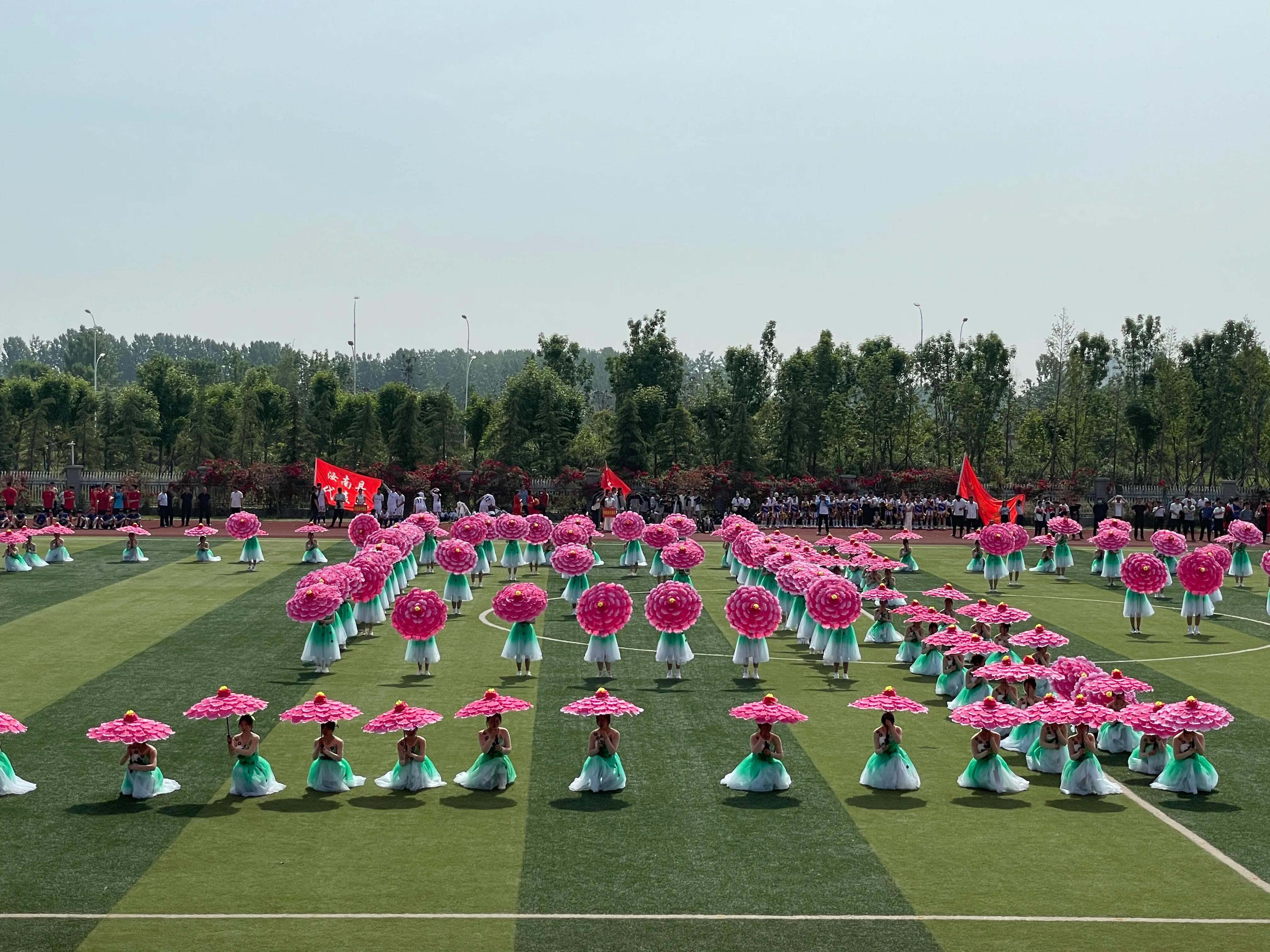 驻马店市第六届校长杯足球比赛,驻马店第六届市长杯足球赛