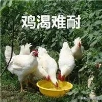 当沙雕网友盯上成语表情包