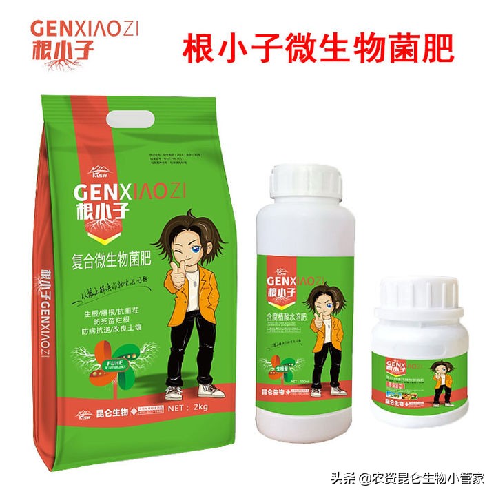 茶树黄叶病怎么治,茶树枯萎发黄怎么修剪