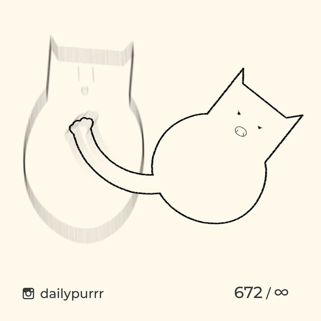 猫是一种液体吗看完长知识了,猫是液体猫咪吗