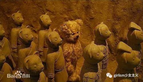 世界上最美丽的泰迪熊,最可爱的泰迪熊