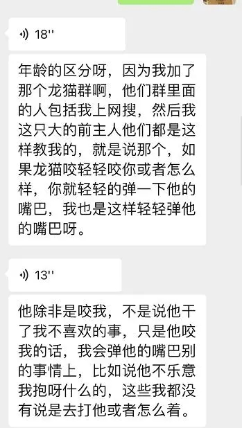 龙猫猛啃木头会把木头吃到肚子吗,龙猫激进咬毛